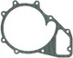 COOLANT PUMP SEAL